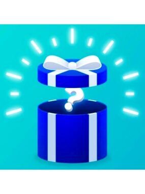 4 piece Mystery Box!